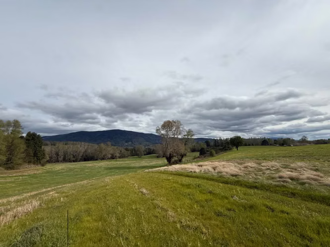 Agrícola en venta de 250ha ubicado en Villarrica Alto