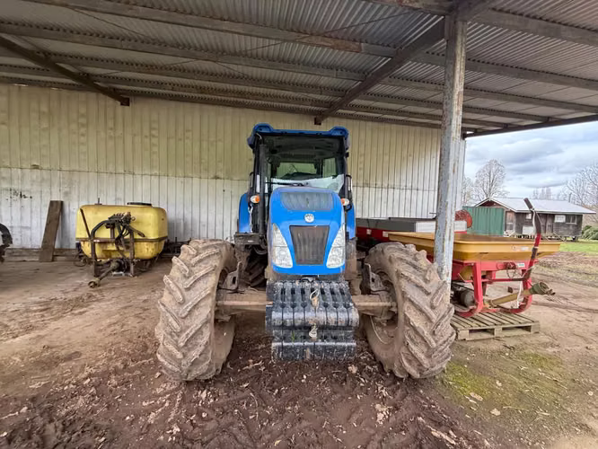 Agrícola en venta de 250ha ubicado en Villarrica Alto