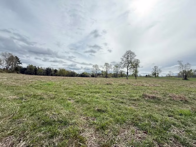 Agrícola en venta de 250ha ubicado en Villarrica Alto
