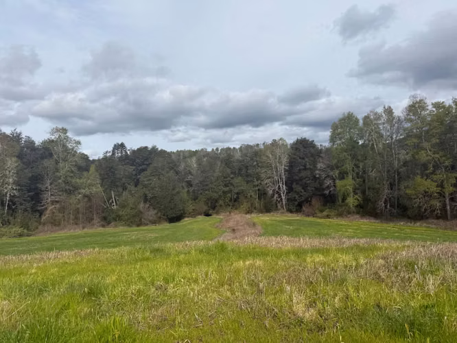 Agrícola en venta de 250ha ubicado en Villarrica Alto