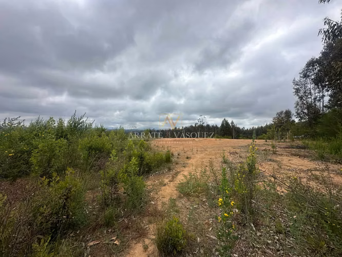 VENTA PARCELA A 30 MINUTOS DE CONCEPCIÓN