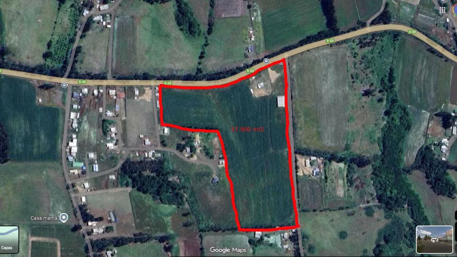 Camino Temuco Chol Chol (129530) - Imagen 9