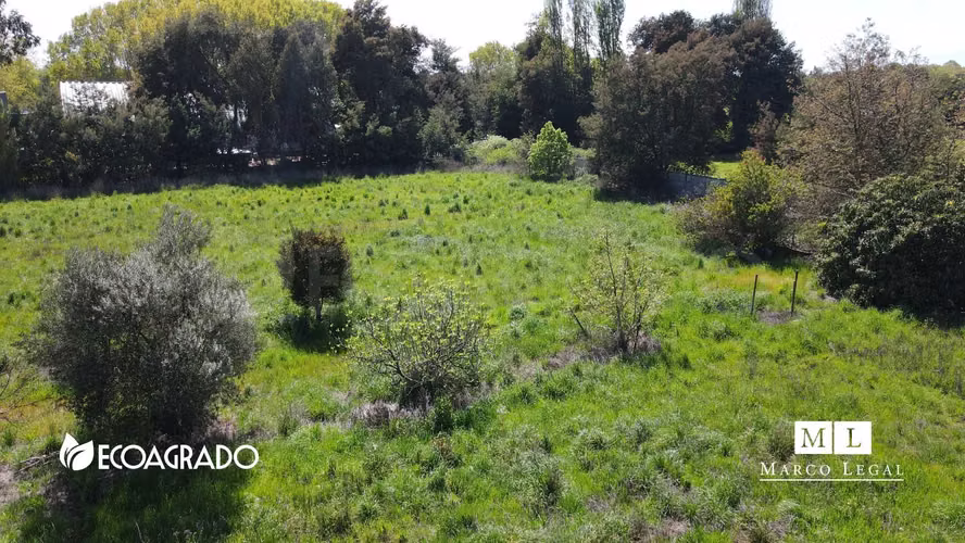 Terreno Camino a Cato (129560) - Imagen 8