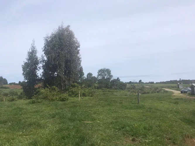 Campo ubicado en Los Muermos, sector El Melí de 19 hectáreas.