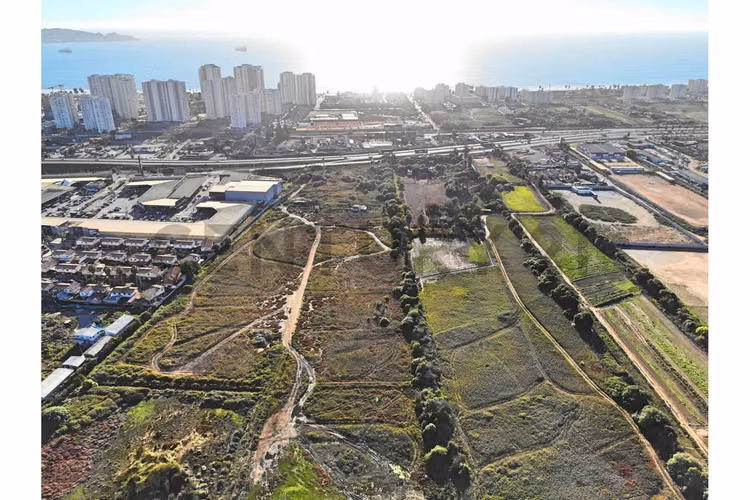 Se vende terreno de 2 Ha. En Ruta 5 Peñuelas.