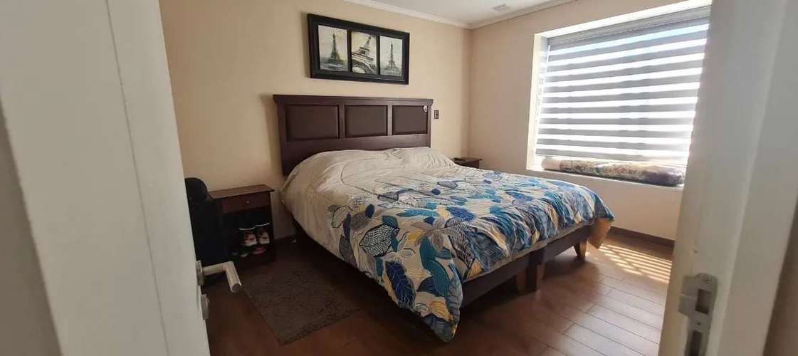 Excelente Modelo Castaño Cod. 2624 - Imagen 15