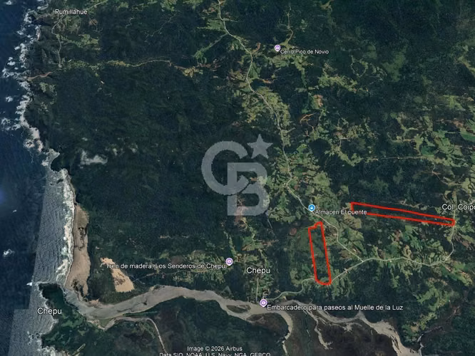 46,35 há en Valle de Chepu, Ancud (sobre carretera)