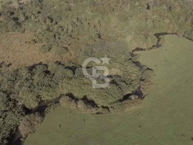 46,35 há en Valle de Chepu, Ancud (sobre carretera)
