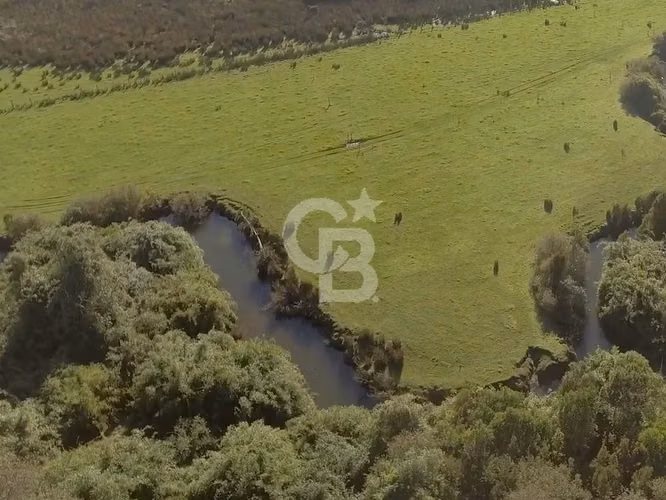 46,35 há en Valle de Chepu, Ancud (sobre carretera)