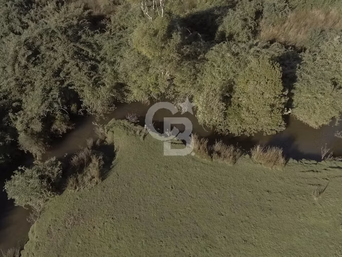 46,35 há en Valle de Chepu, Ancud (sobre carretera)