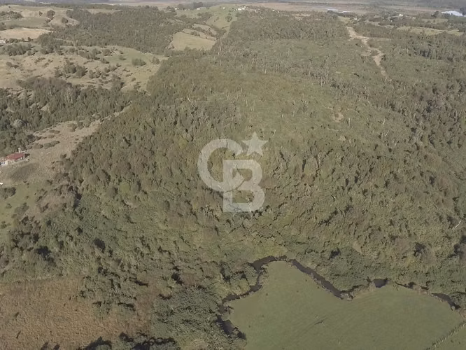 46,35 há en Valle de Chepu, Ancud (sobre carretera)