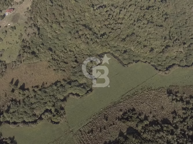 46,35 há en Valle de Chepu, Ancud (sobre carretera)