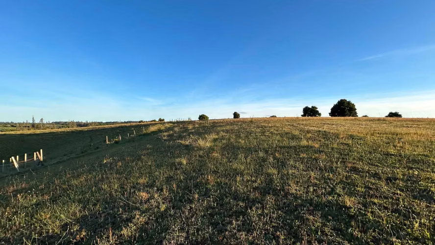 VENDEMOS PARCELAS DE 5.000 M2 Y 10.000 M2 EN LA UNION - Imagen 7