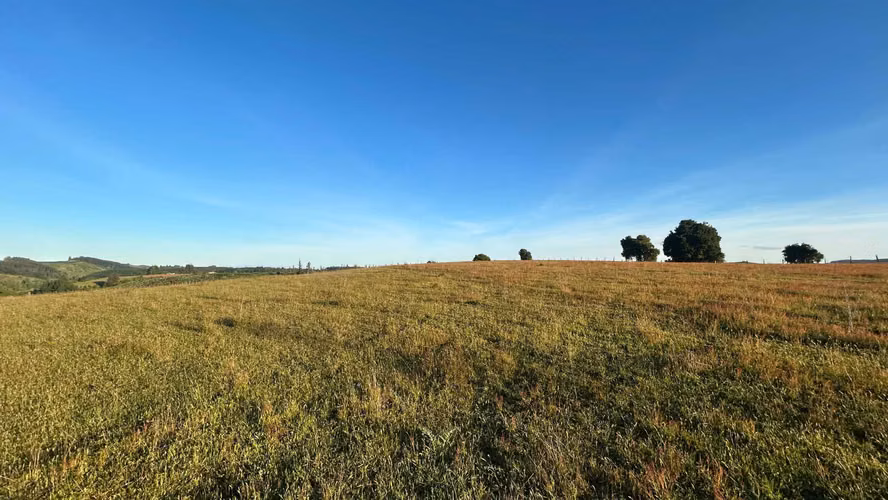 VENDEMOS PARCELAS DE 5.000 M2 Y 10.000 M2 EN LA UNION - Imagen 11