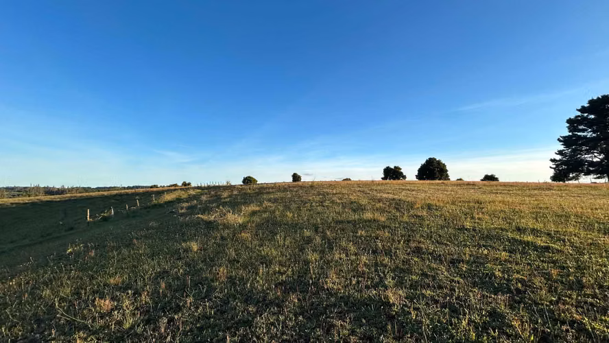 VENDEMOS PARCELAS DE 5.000 M2 Y 10.000 M2 EN LA UNION - Imagen 3