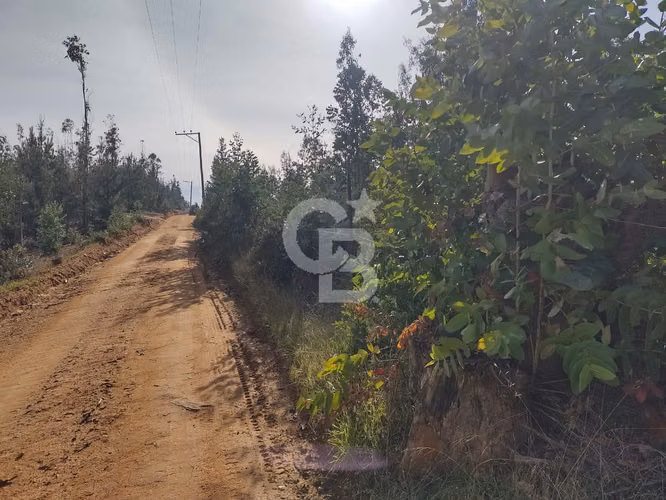 Hermoso sitio en el sector de Paredones.