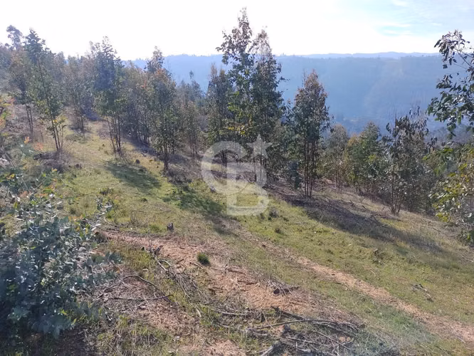 Hermoso sitio en el sector de Paredones.