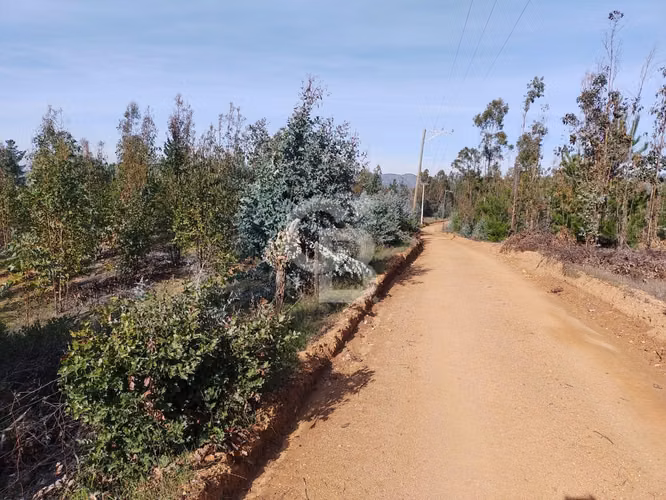 Hermoso sitio en el sector de Paredones.
