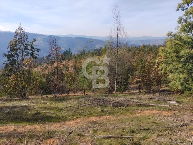 Hermoso sitio en el sector de Paredones.