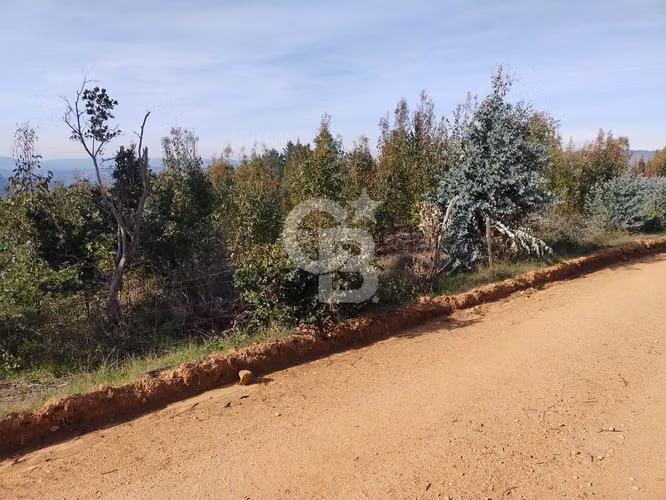 Hermoso sitio en el sector de Paredones.