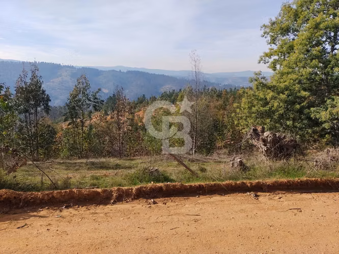 Hermoso sitio en el sector de Paredones.
