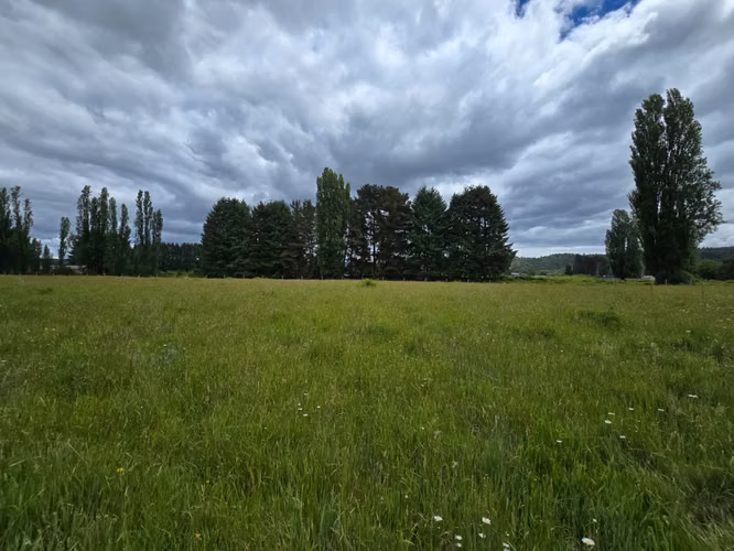 Venta de 3 Parcelas Exclusivas con Acceso al Río Calle Calle - Imagen 13