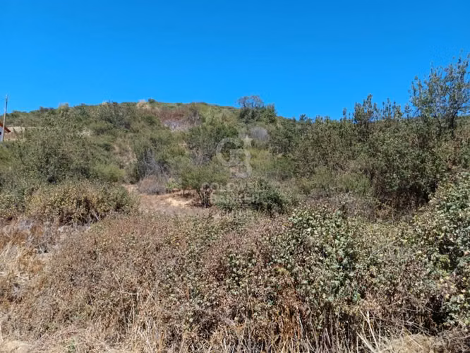 PARCELA CASAS VIEJAS RAUTEN QUILLOTA