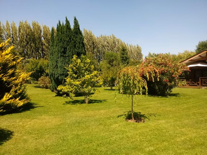 Parcela en venta – Fundo El Roble, Bulnes (Parcela N°16)