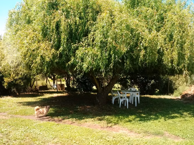 Parcela en venta – Fundo El Roble, Bulnes (Parcela N°16)