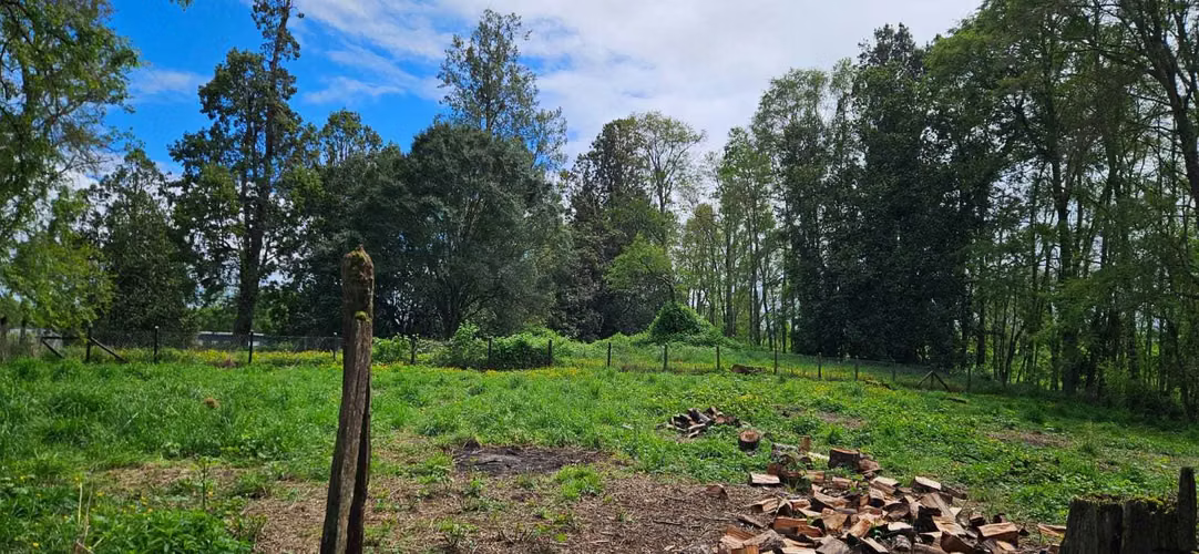 Inversión Asegurada: Amplio Sitio para Desarr (130774)