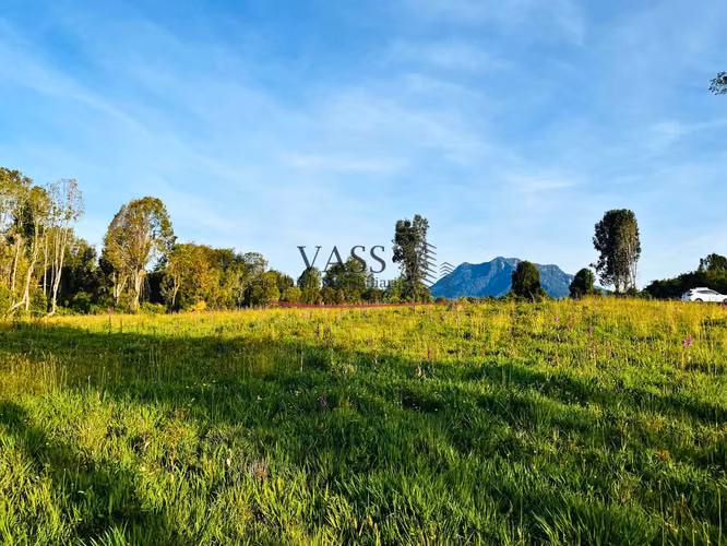 VASS vende parcelas desde 5.000 m² El Tepú, Ensenada. Puerto Varas
