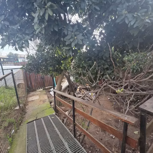 Terreno con 2 casas en Forestal Alto - Imagen 4