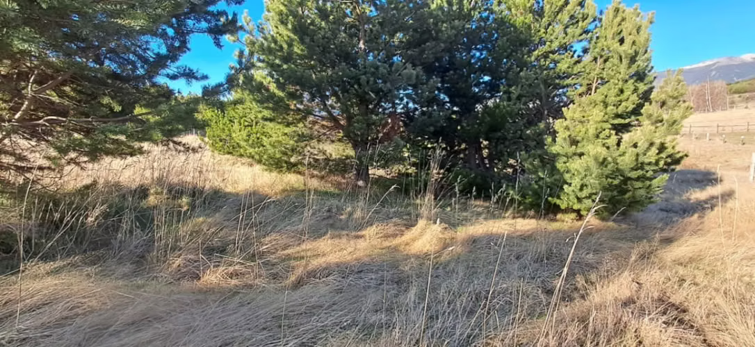 Parcela en venta de 5000m2 ubicado en Coihaique