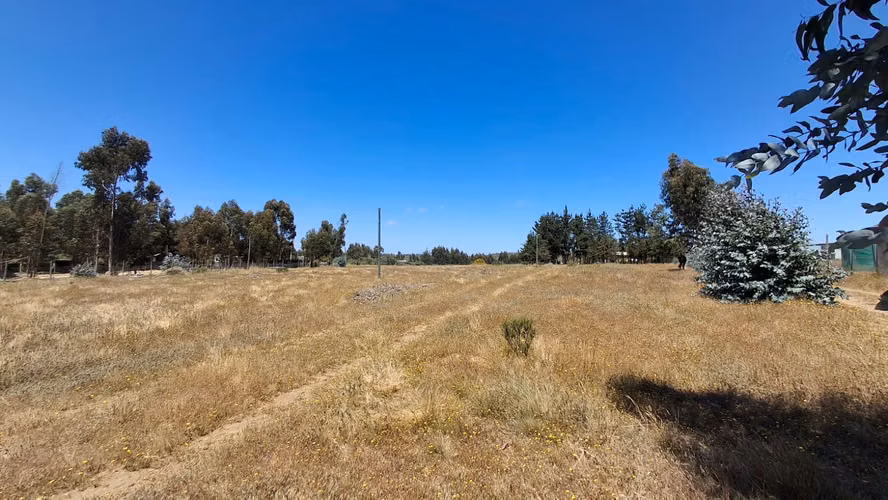 Lindos Terrenos en zona de extensión Urb Algarrobo