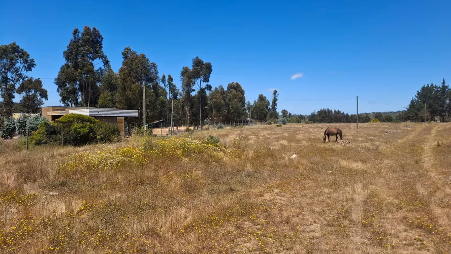 Lindos Terrenos en zona de extensión Urb Algarrobo
