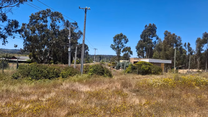 Lindos Terrenos en zona de extensión Urb Algarrobo