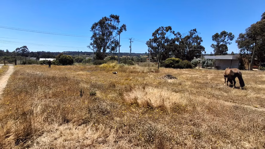 Lindos Terrenos en zona de extensión Urb Algarrobo
