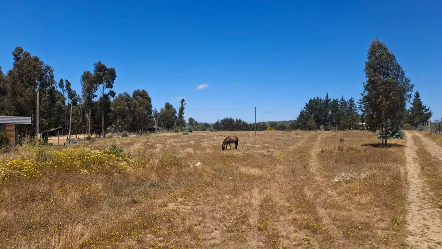 Lindos Terrenos en zona de extensión Urb Algarrobo