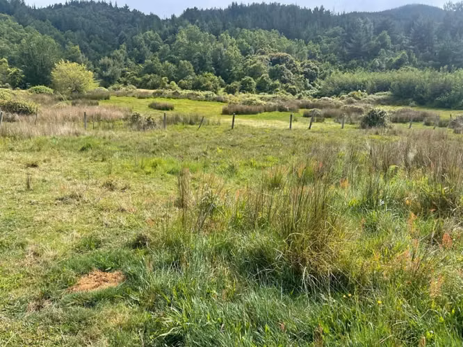 Se Vende  campo de 4 hectáreas en Florida 8va Región