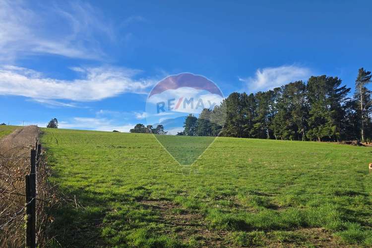 Terreno en panguipulli - Imagen 12