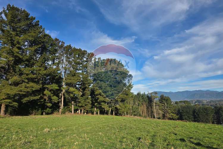 Terreno en panguipulli - Imagen 11