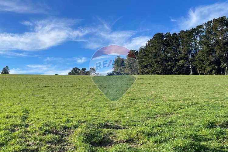 Terreno en panguipulli - Imagen 3