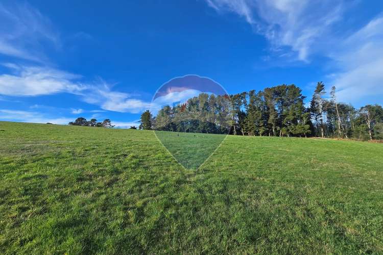 Terreno en panguipulli - Imagen 8
