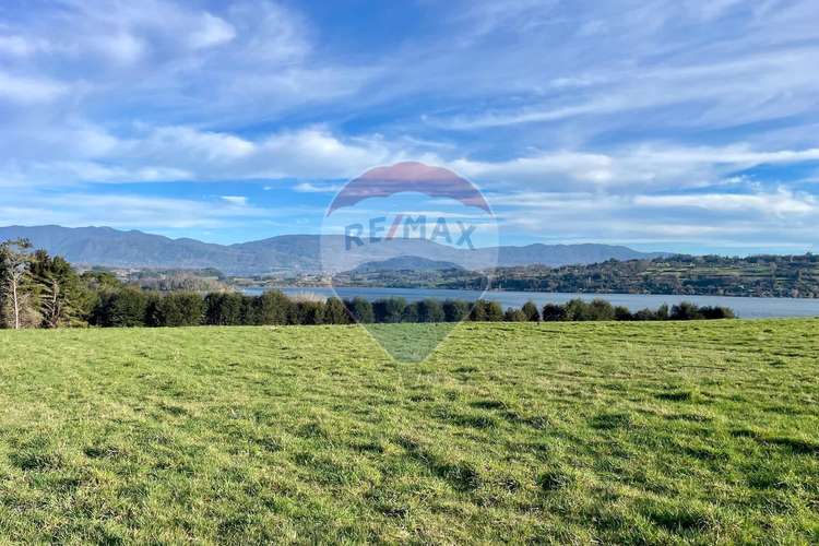 Terreno en panguipulli - Imagen 4
