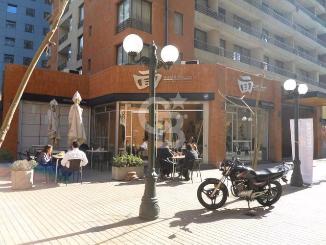 Excelente Depto. en Providencia