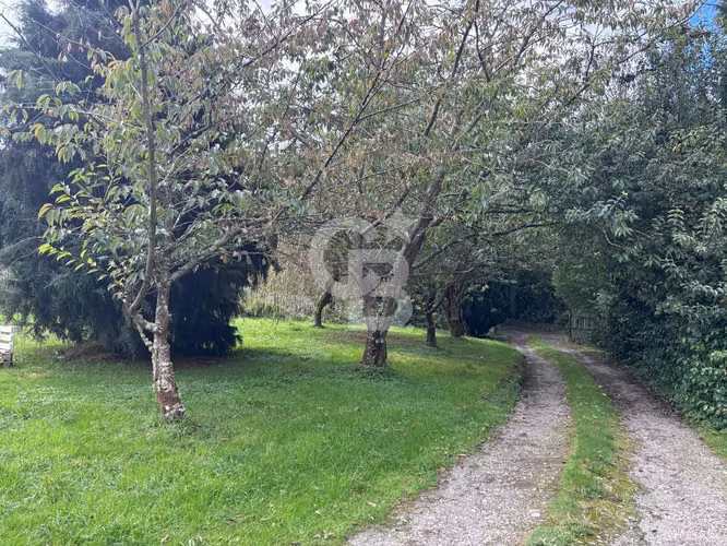 Terreno comercial en Puerto Varas – Entrada Norte
