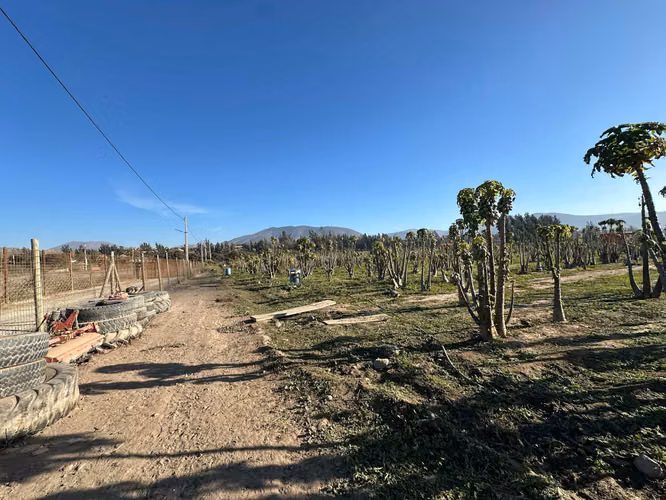 OPORTUNIDAD DE INVERSION TERRENO VALLE ELQUI (131752)