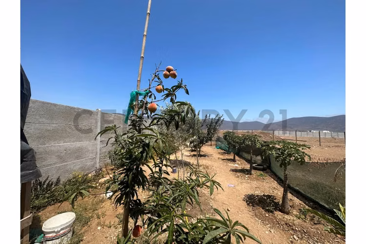 Vende Casa en Pan de Azucar