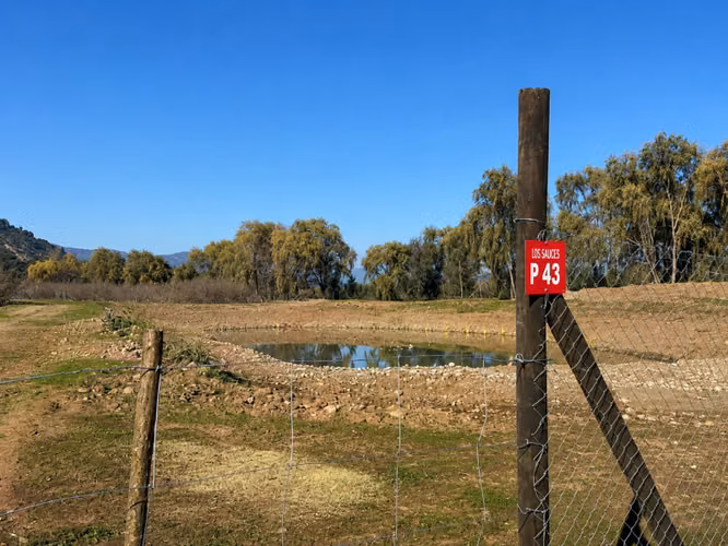 PARCELA EN “LOS AVELLANOS” ZAPALLAR