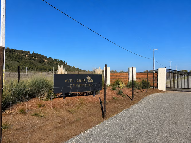 PARCELA EN “LOS AVELLANOS” ZAPALLAR